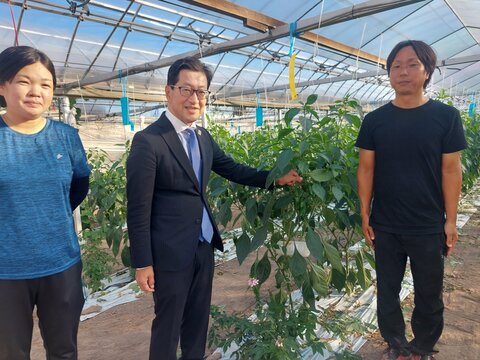 若手就農者ハウス①