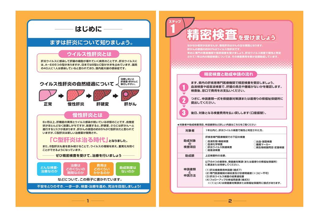 初回精密検査の概要（ウイルス性肝炎治療と医療費助成のお役立ちガイドより抜粋）