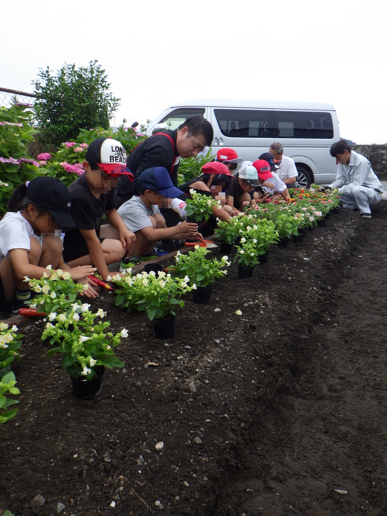 小学生(花植状況) 小学生(花植状況)