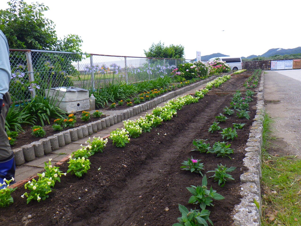小学生(花植え後) 小学生(花植え後)