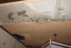 旧室戸高校ハチダ職員宿舎写真_6 旧室戸高校ハチダ職員宿舎写真_6
