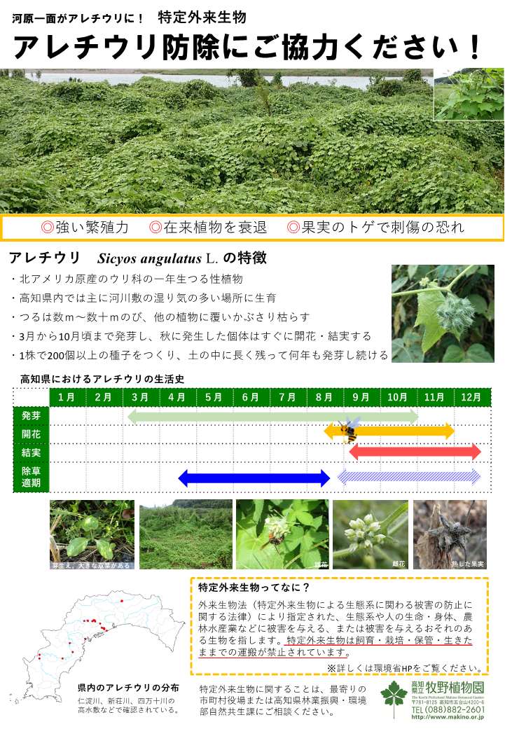 （牧野作成）アレチウリ普及啓発チラシ初版_1