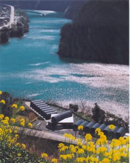 春の永瀬ダム湖の写真です