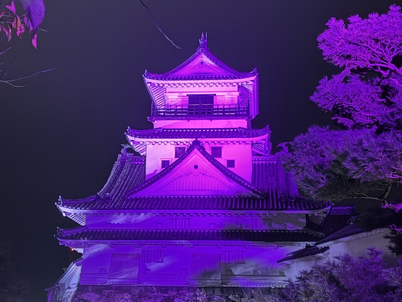 高知城パープルライトアップ(サムネイル用)