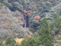 高知市鏡柿ノ又・滝