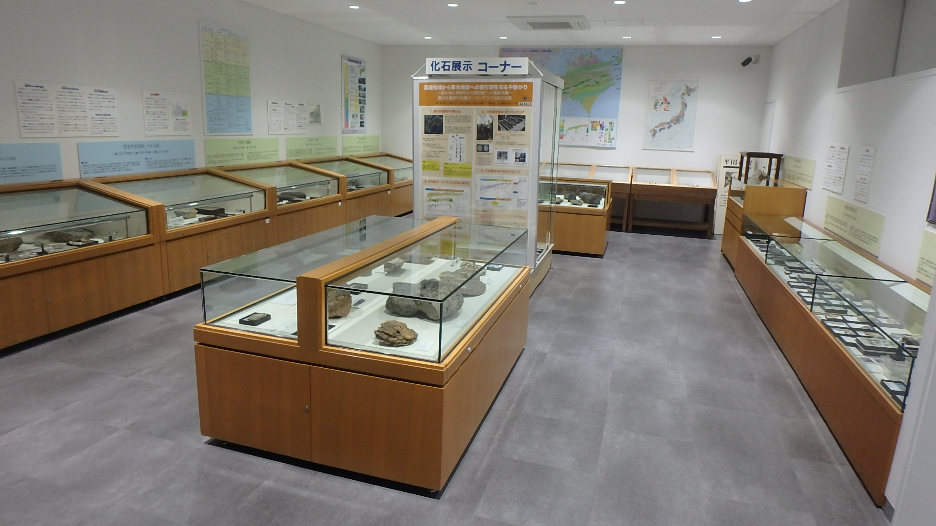 化石展示コーナー