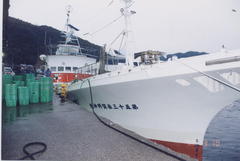 katsuosen1