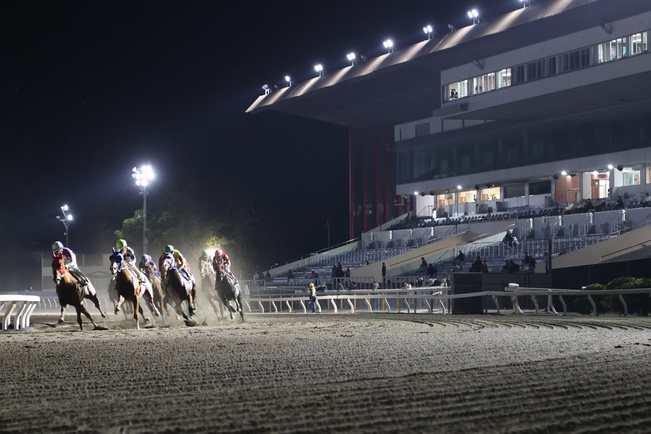 ナイター競馬
