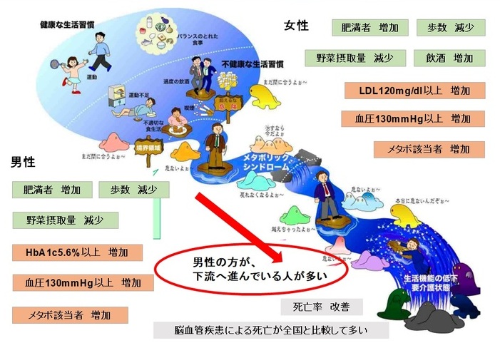 壮年期男性の健康状態