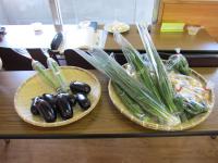 2011011400077_www_pref_kochi_lg_jp_uploaded_image_14748.JPG