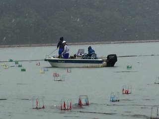 灯ろう回収作業