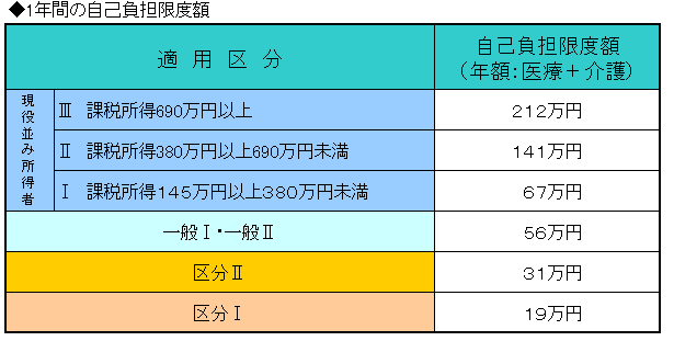 1年間自己限度額