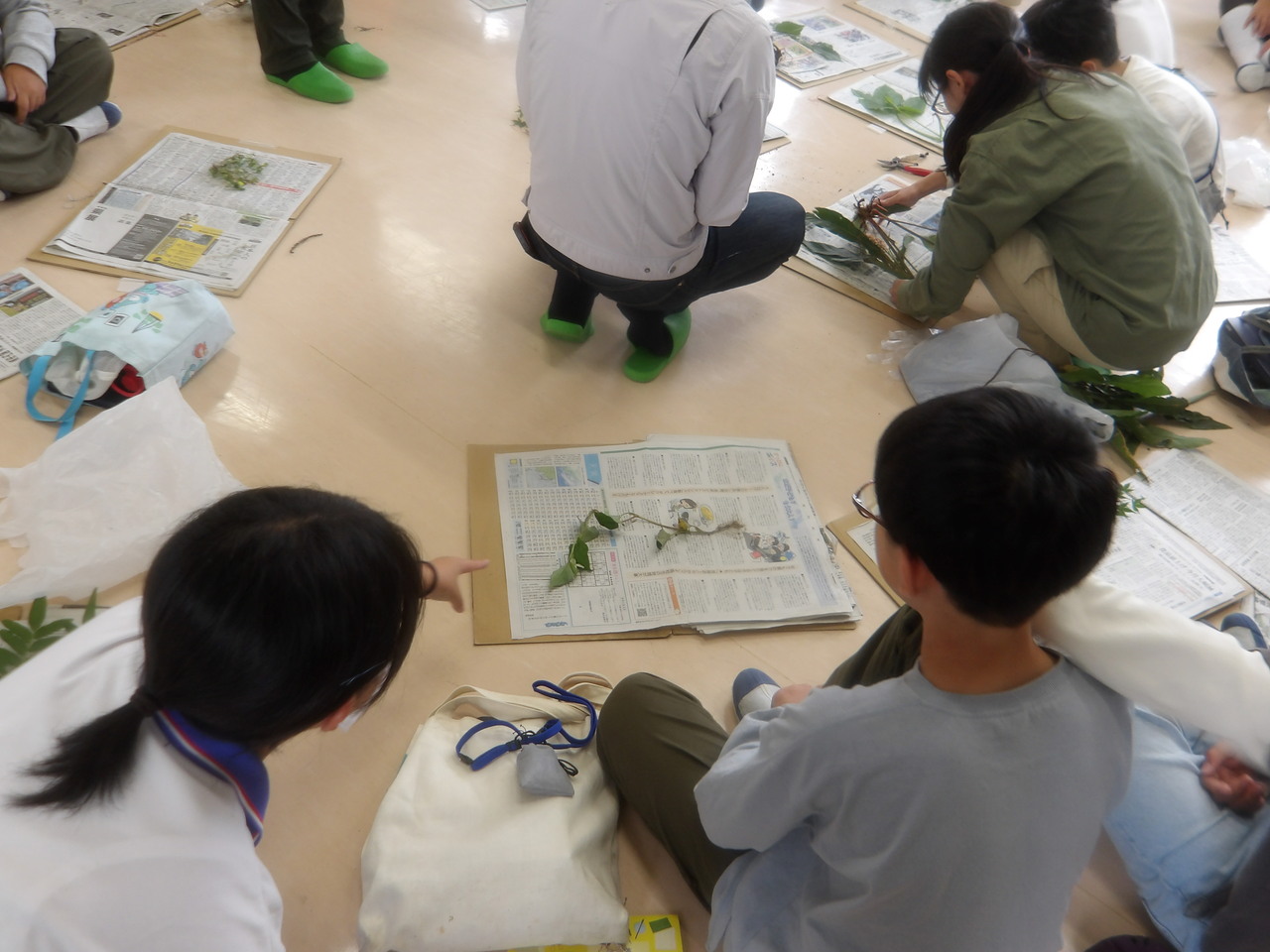 植物採取 植物採取