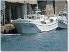 maguro1001