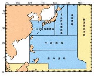 maguro4