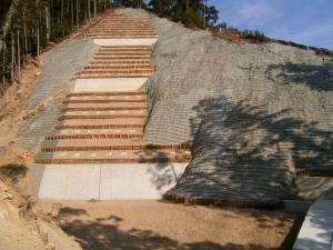2009031800854_www_pref_kochi_lg_jp_uploaded_image_5373.JPG