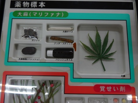 薬物乱用防止教室について（平成28年3月現在） | 高知県