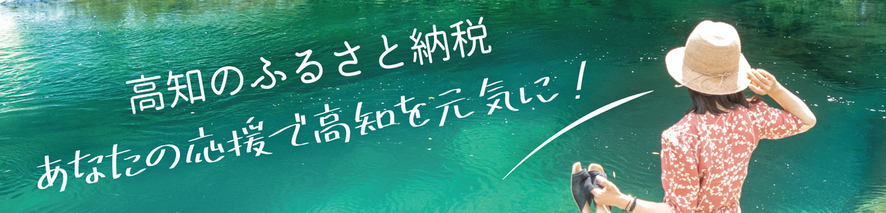 高知のふるさと納税