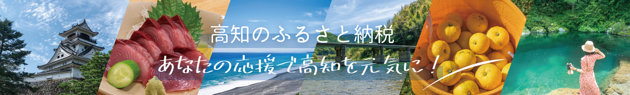 高知のふるさと納税