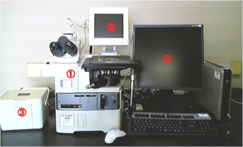 金属顕微鏡システム：全体
