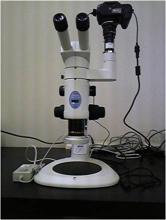 金属顕微鏡システム：本体